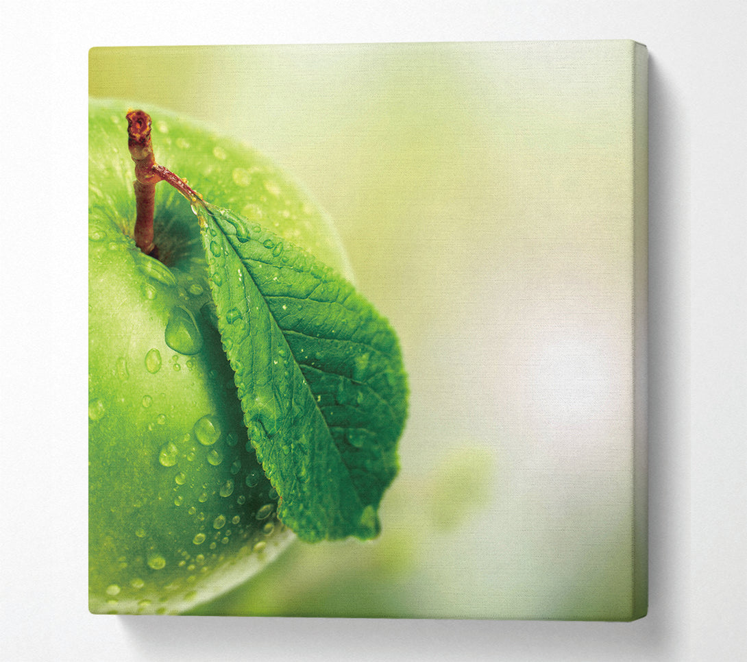  A Canvas Print of Juicy Apple Canvas Art