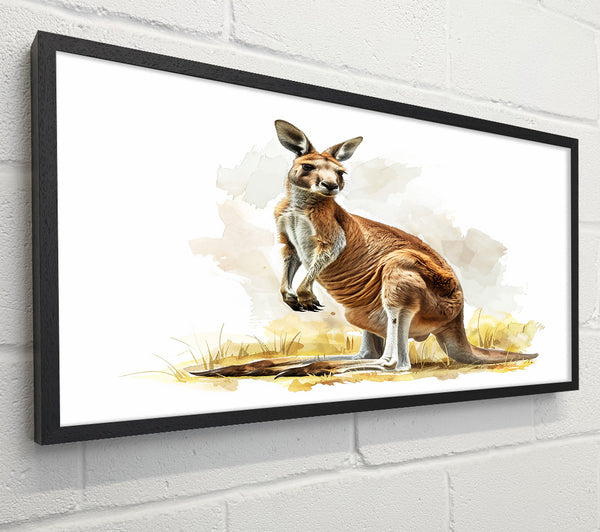 Kangaroo