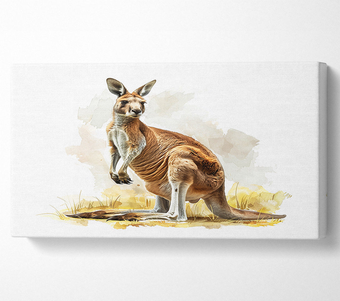  A Canvas Print of Kangaroo Canvas Print