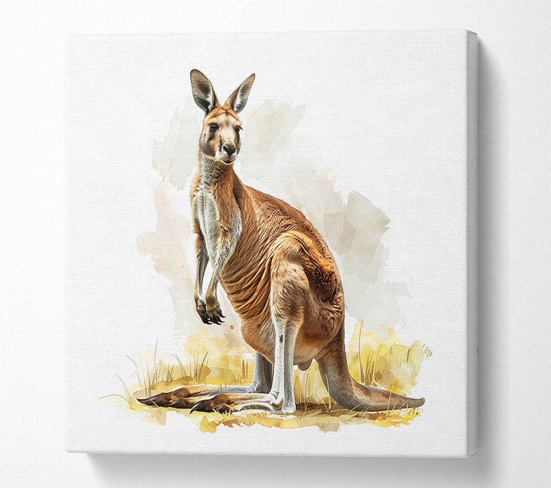  A Canvas Print of Kangaroo Canvas Print