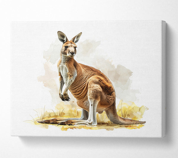  A Canvas Print of Kangaroo Canvas Print