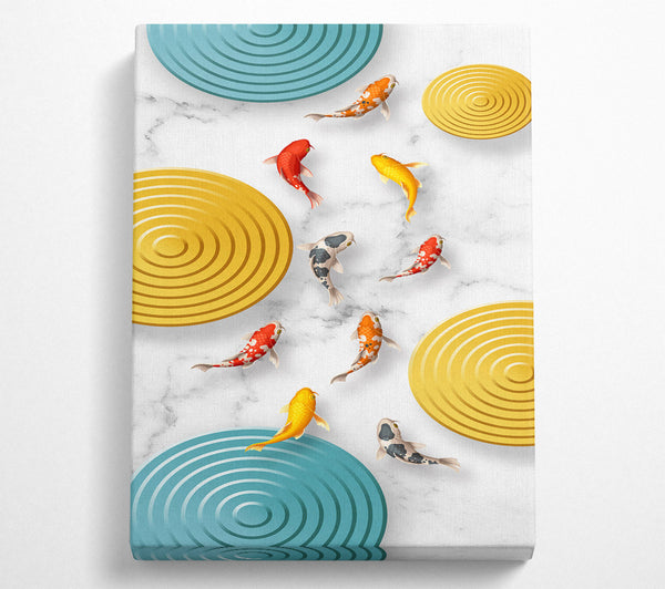  A Canvas Print of Koi Circles Canvas Print
