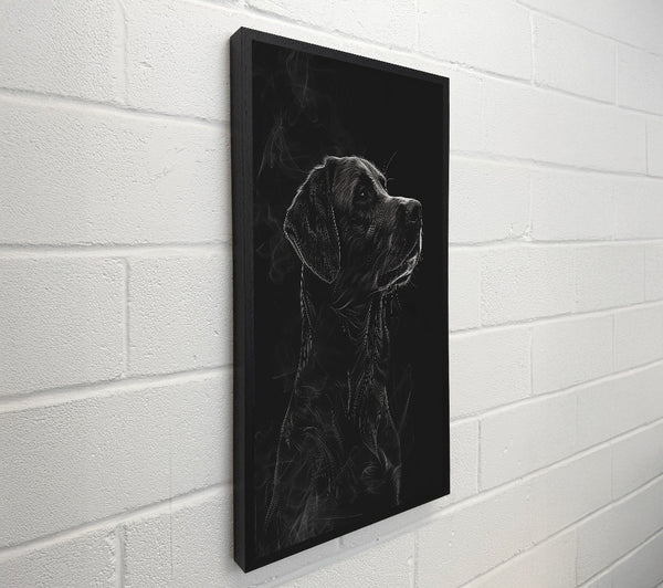 Labrador Black