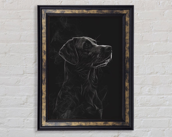 Labrador Walnut Framed Print