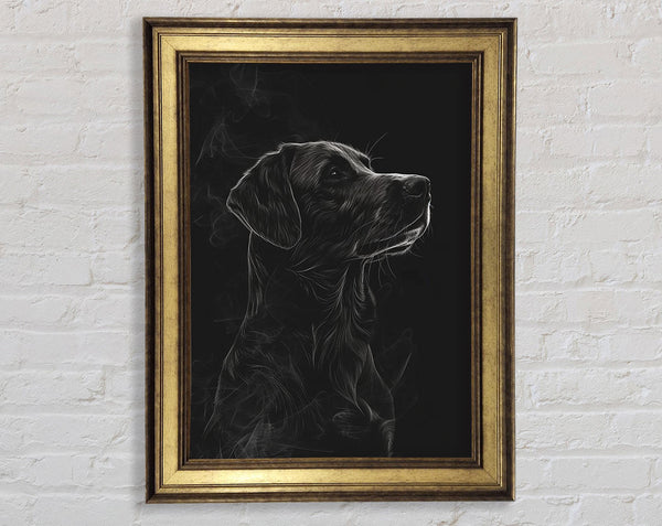 Labrador White Framed Print