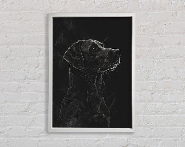 Labrador White Framed Print