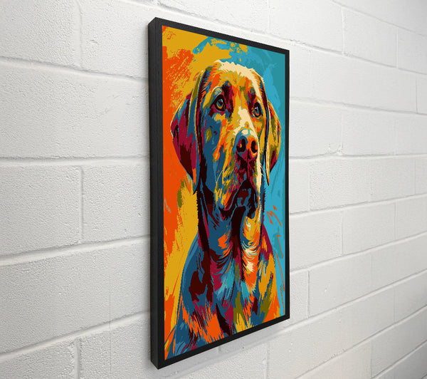 Labrador Colourful