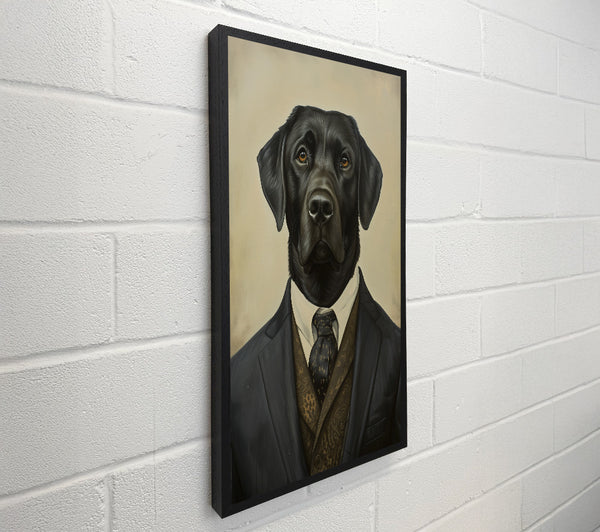 Labrador Suit