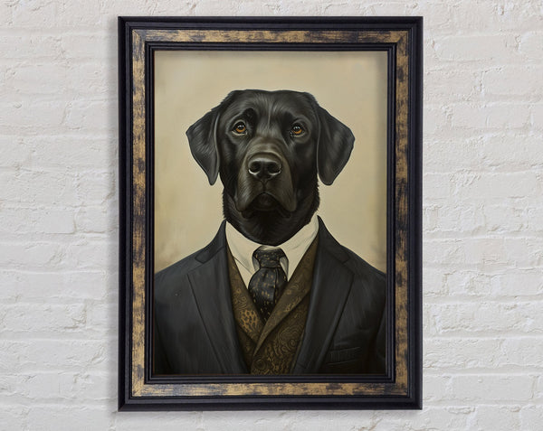 Labrador Suit Framed Print