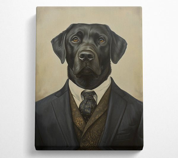 Labrador Suit