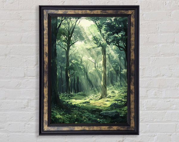 Light Through The Wood Framed Print