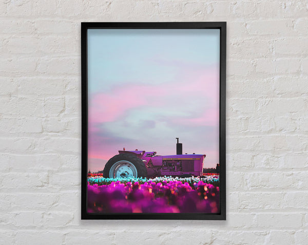 Lilac Tractor Framed Print