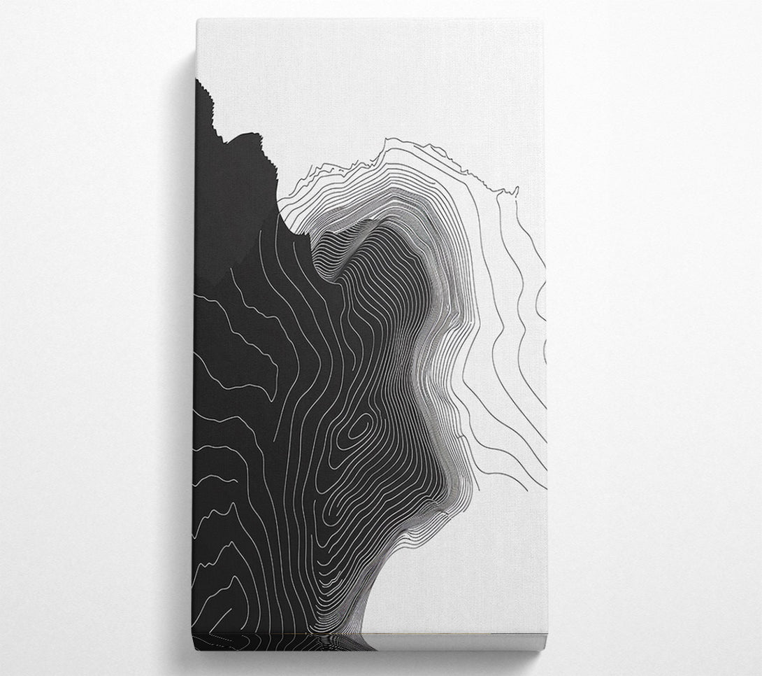  A Canvas Print of Line From White To Black Canvas Wall Art