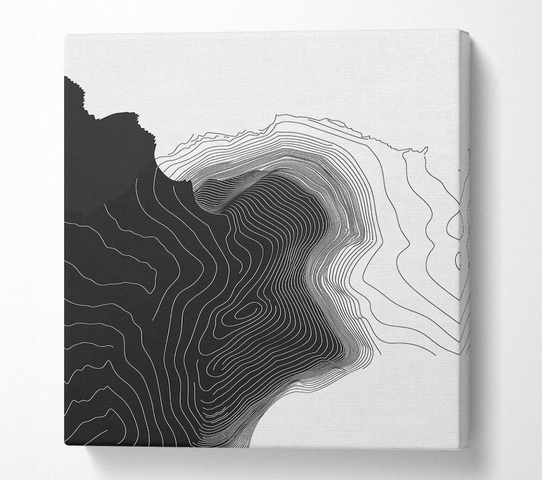  A Canvas Print of Line From White To Black Canvas Wall Art