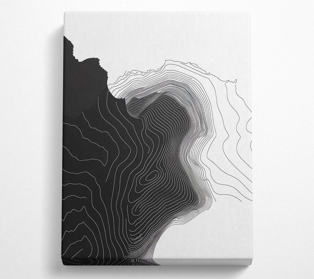  A Canvas Print of Line From White To Black Canvas Wall Art