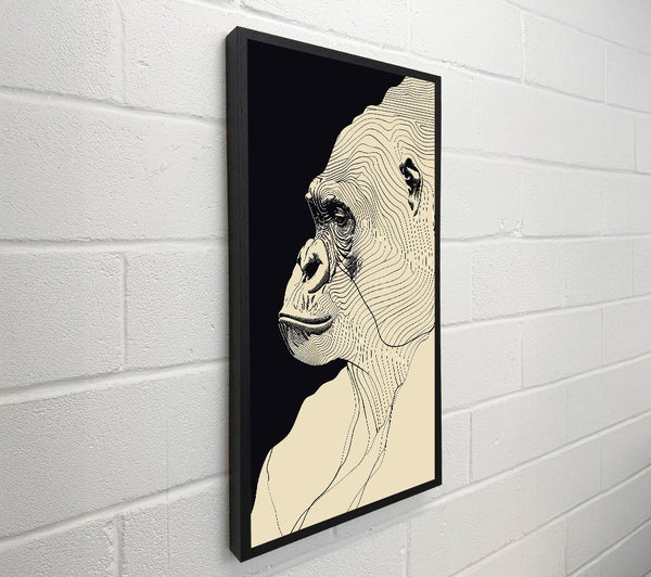 Lines Of. Gorilla