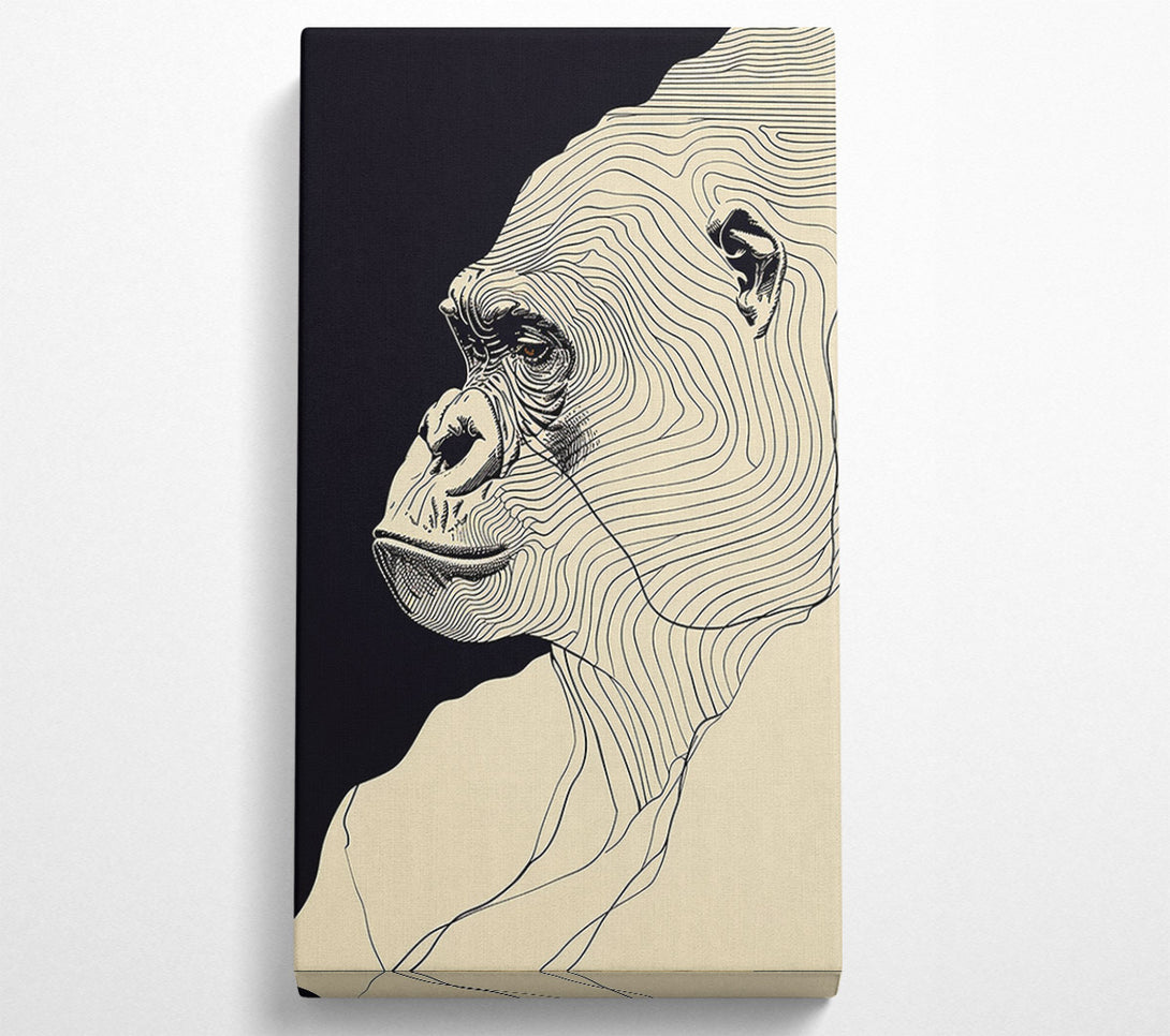  A Canvas Print of Lines Of. Gorilla Canvas Print