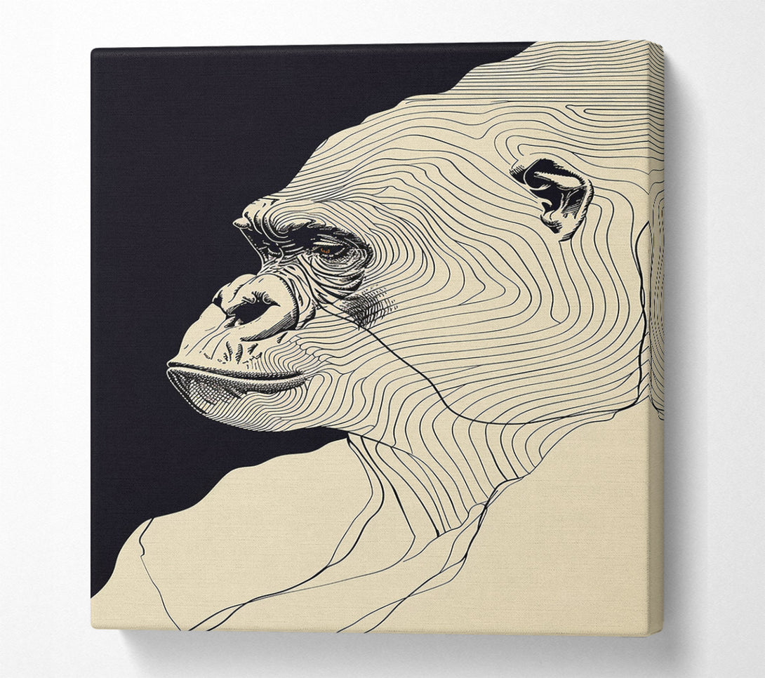  A Canvas Print of Lines Of. Gorilla Canvas Print