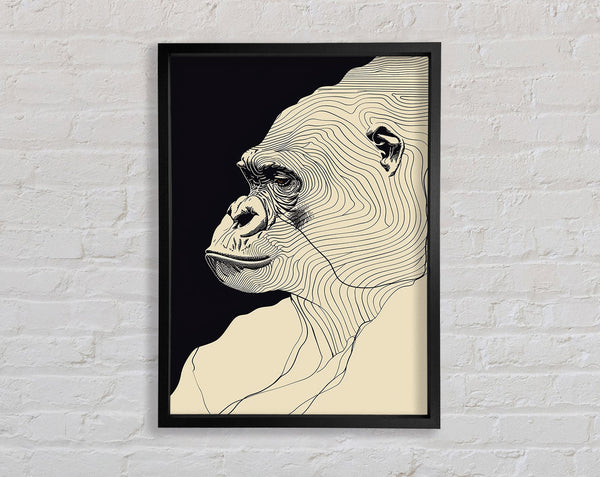 Lines Of. Gorilla Framed Print