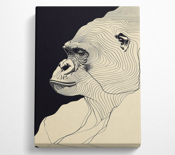  A Canvas Print of Lines Of. Gorilla Canvas Print