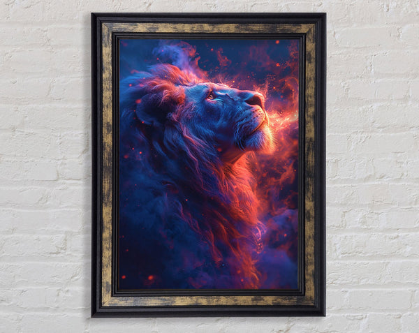 Lion Looking To The Stars Framed Print