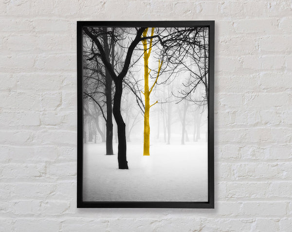 Lone Colourful Tree Framed Print