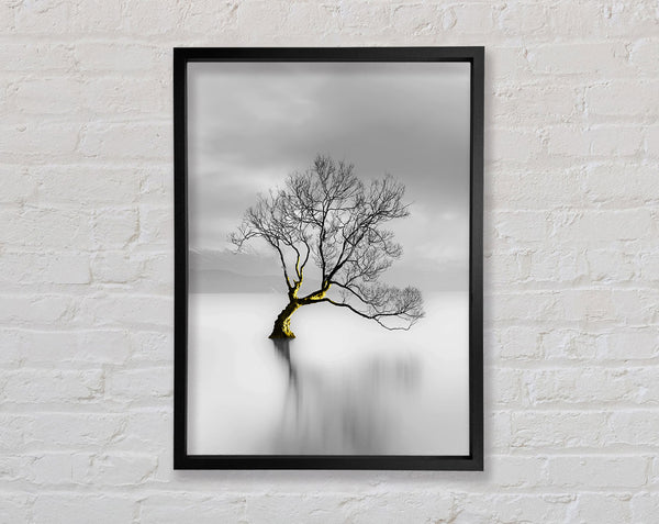 Lone Tree Lake Framed Print