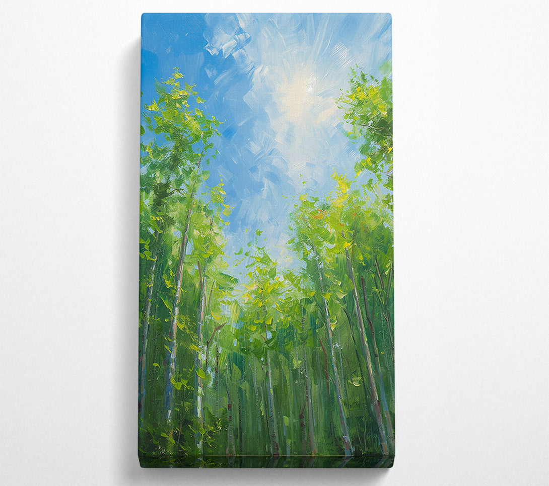  A Canvas Print of Looking Up Through The Trees Canvas Wall Art