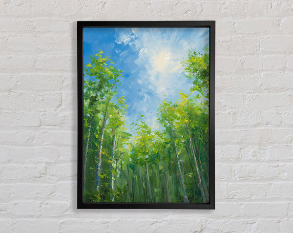 Looking Up Through The Trees Framed Print