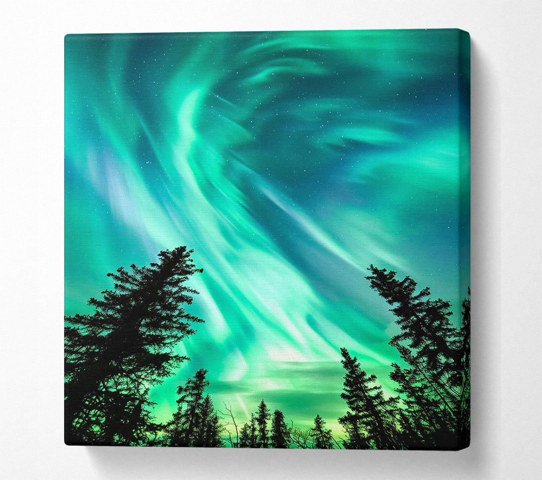  A Canvas Print of Looking Up To Northern Skies Canvas Print