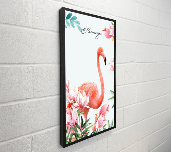 Lovely Flamingo