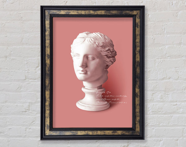 Marble Head Sculpture Framed Print