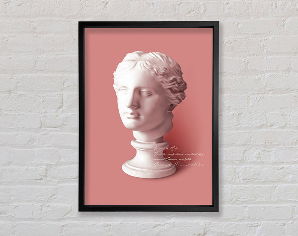 Marble Head Sculpture Framed Print