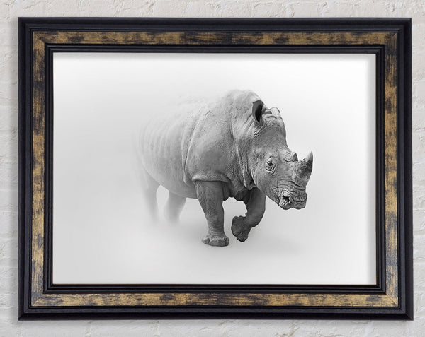 Misty Rhino Framed Print