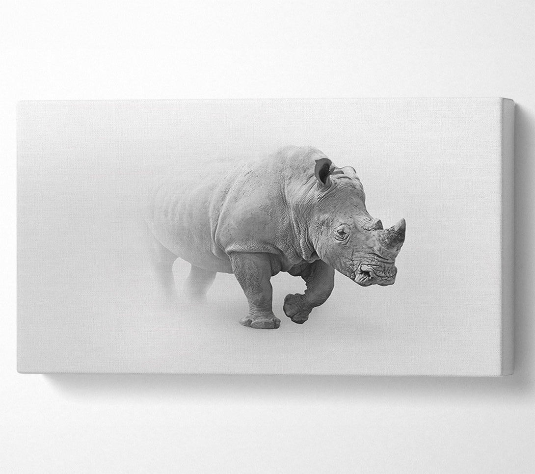  A Canvas Print of Misty Rhino Canvas Print