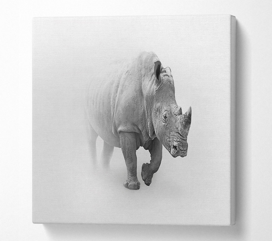  A Canvas Print of Misty Rhino Canvas Print