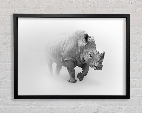 Misty Rhino Framed Print