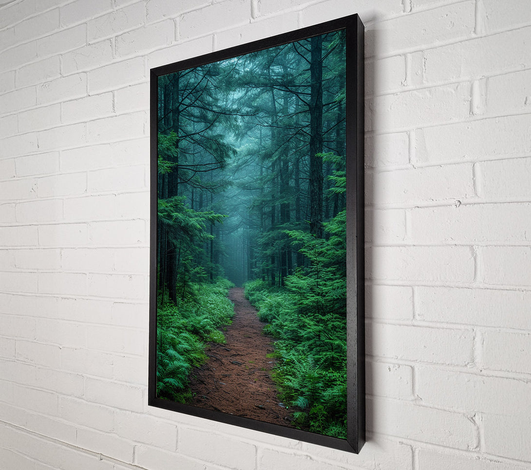  A Canvas Print of Misty Trail Canvas Art