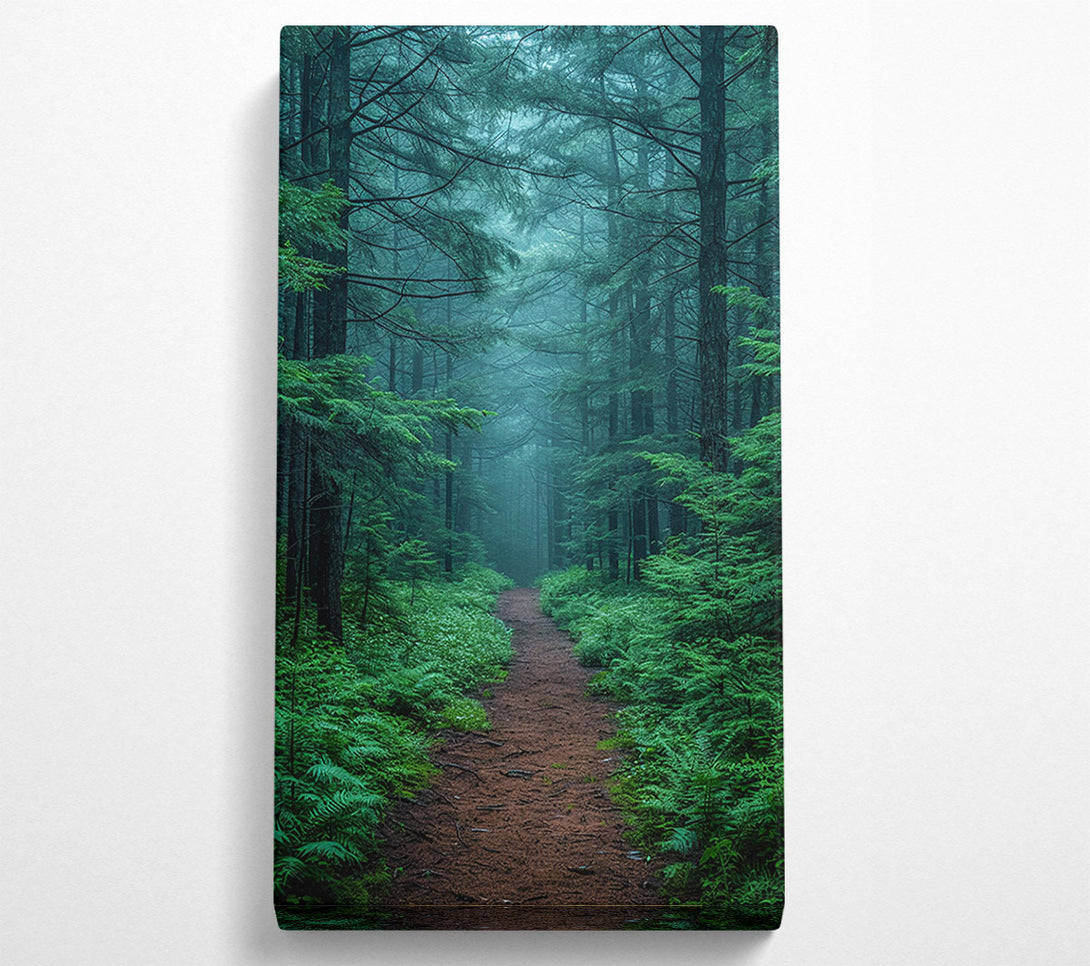  A Canvas Print of Misty Trail Canvas Art