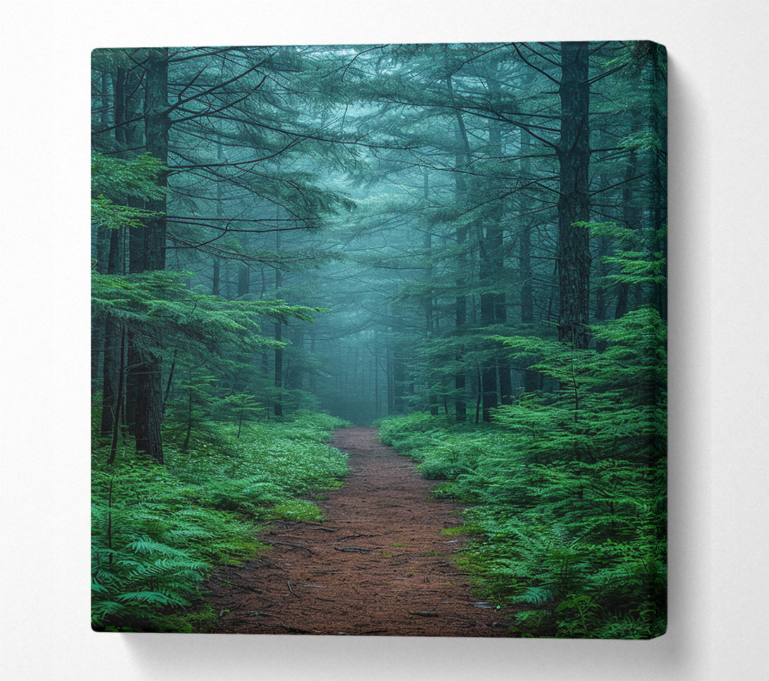  A Canvas Print of Misty Trail Canvas Art
