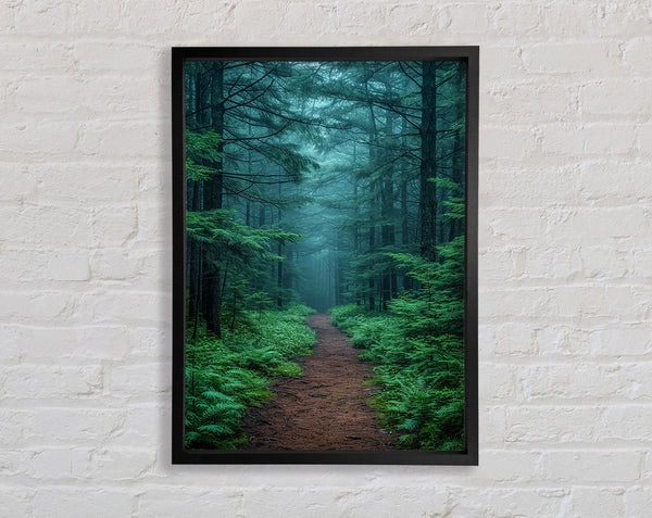Misty Trail Framed Print