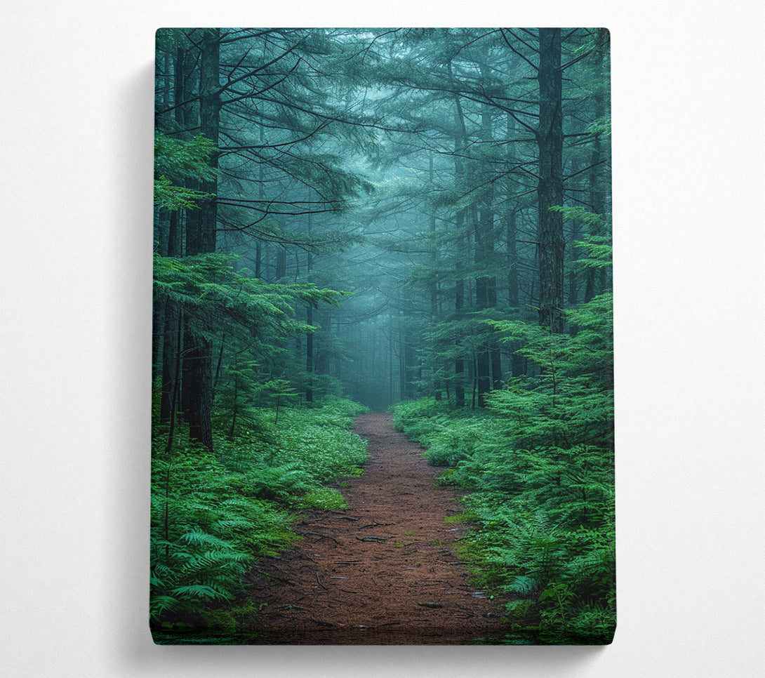  A Canvas Print of Misty Trail Canvas Art