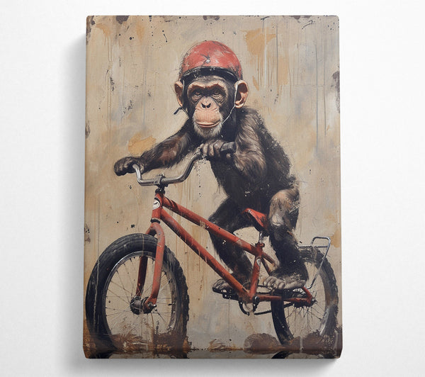  A Canvas Print of Monkey On A Bike Canvas Print