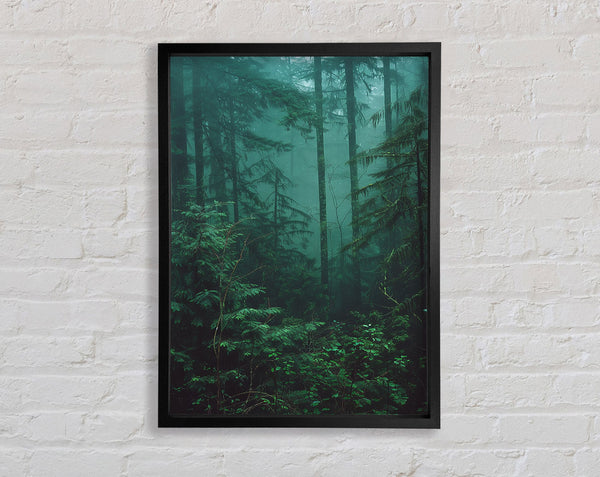 Moody Dark Woodland Framed Print