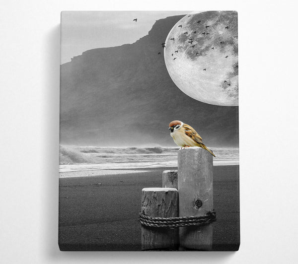  A Canvas Print of Moon Beach Bird Canvas Wall Art