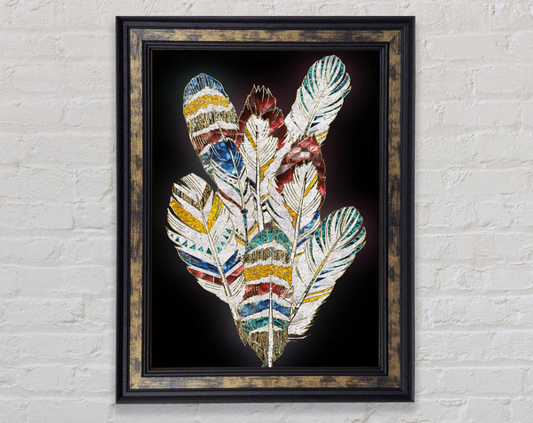 Native Feathers Framed Print