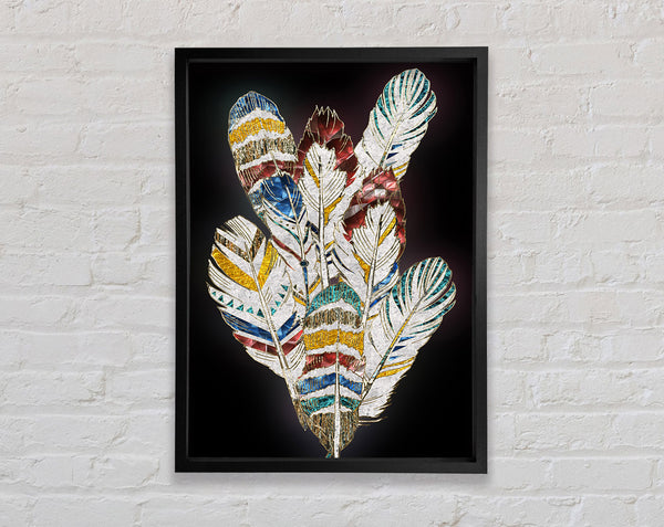 Native Feathers Framed Print