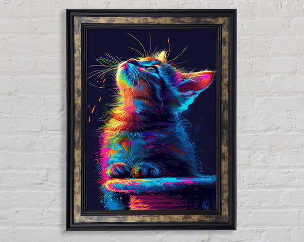 Neon Kitten Looking Up Framed Print