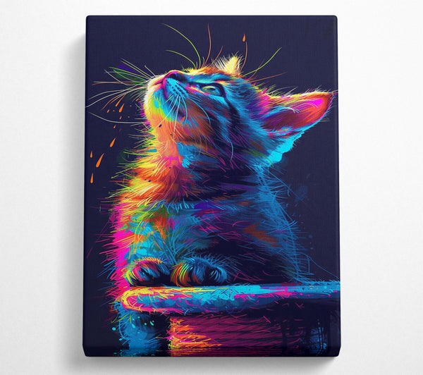  A Canvas Print of Neon Kitten Looking Up Canvas Print