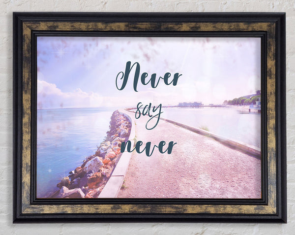 Never Say Never Framed Print